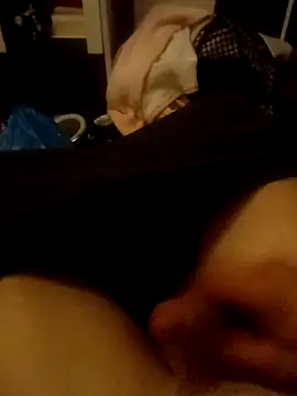 Show webcam de Mistrzmin