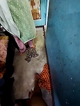 Bhabhi-Devar- Webcam-Show