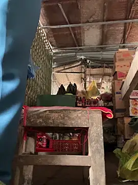 BellaCherishDarling Show Webcam