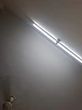 indianhorse1 Webcamshow