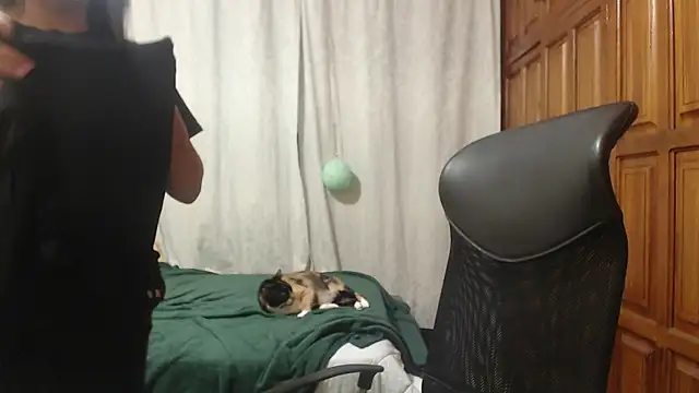 Venus_cat_ Live XXX-chat