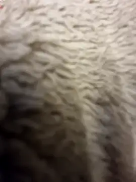 Loly_Horny's Webcam Show