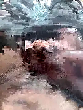 FinableKnee Show Webcam