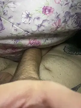 Wess_dick1n Webbikameraesitys