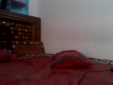 urdreammann Webbikameraesitys