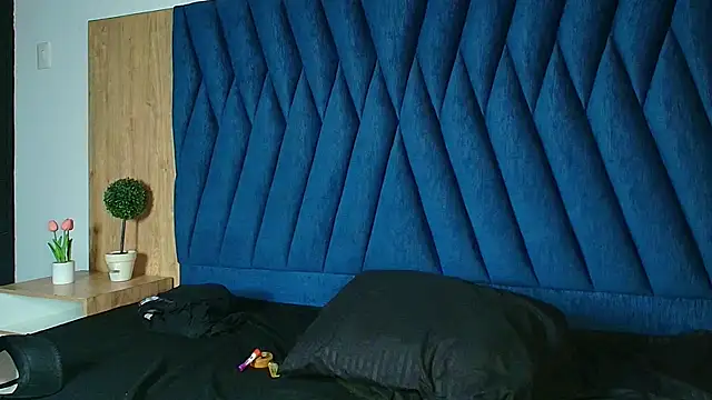 Show webcam de lio____