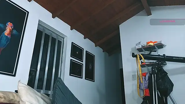 SilvaBrankoのウェブカメラショー