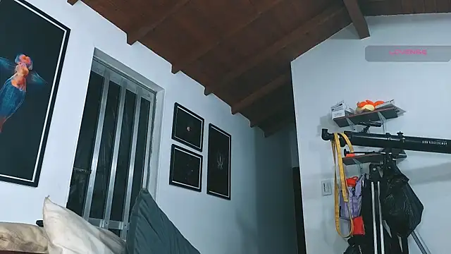 SilvaBranko's Webcam Show