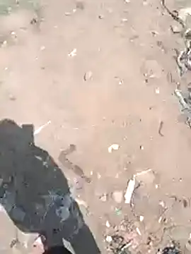 Show de webcam de Sinewsex_pussylove