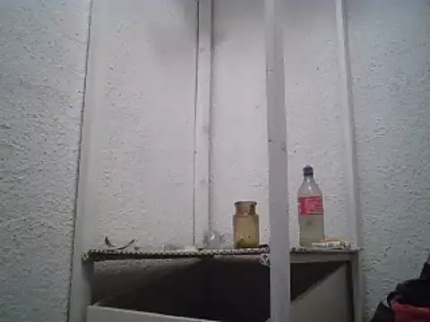 zandyplus 现场XXX聊天