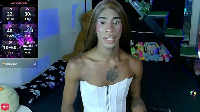 Kendall_Giln Webbikameraesitys