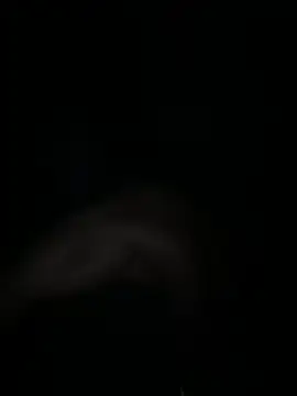 ZF-Athlete webcam show