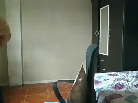 fixyladyのライブXXXチャット