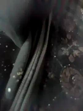 Živý XXX chat Aafreen_36