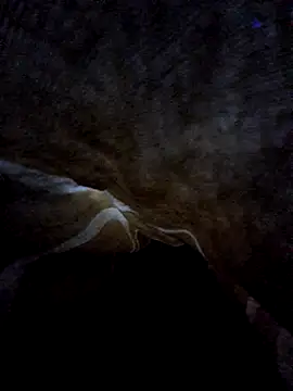 thesecksm's Webcam Show