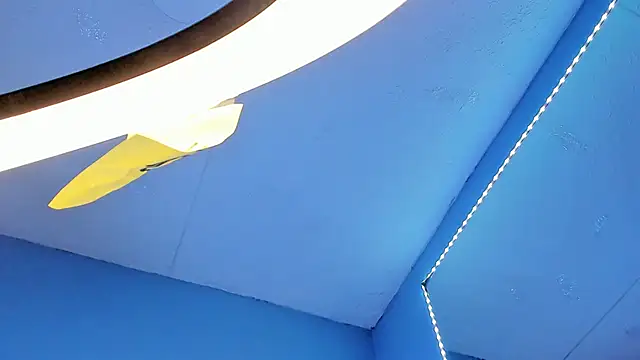 TokyoHaskel Adlı Modelin Canlı XXX Sohbeti