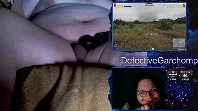 DetChompyのウェブカメラショー