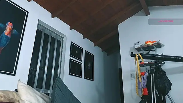 SilvaBranko 网络视讯表演