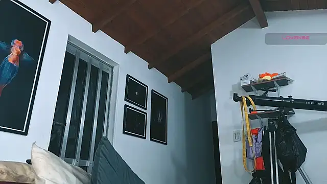 SilvaBranko webcam show