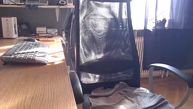 endastjag Webcam Show