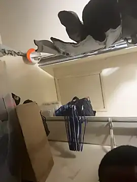 Show webcam de willie896