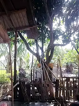 BigAss-69's Webcam Show