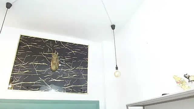 Patrick_Rango Webcam Show