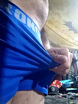 Cogelonregio Show Webcam