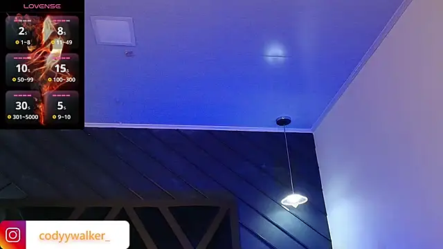 CodyWalkerR's Webcam Show