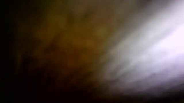 Show Webcam de deepinnnnn