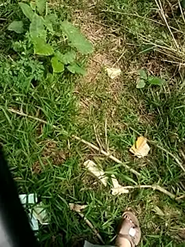 -__cherry__- 网络视讯表演