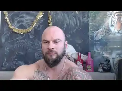 viking_30n Webbikameraesitys