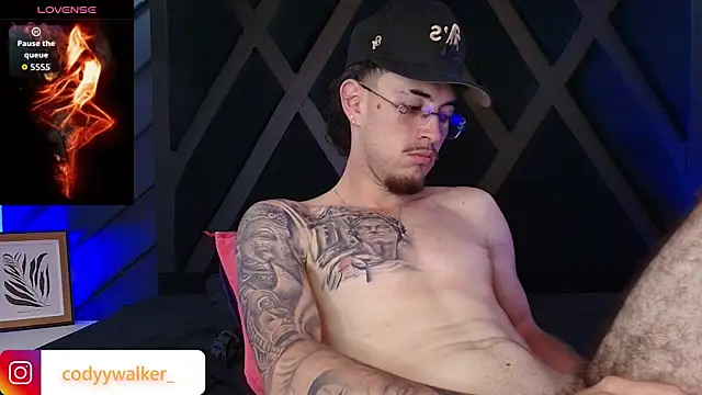 عرض كام CodyWalkerR