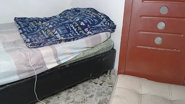 hares_mds 网络视讯表演