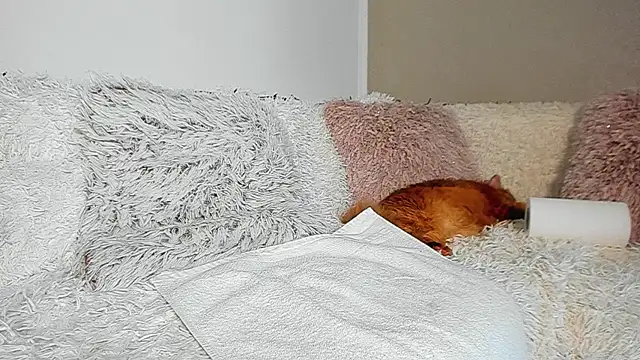 BrianaDiamondXXXのライブXXXチャット