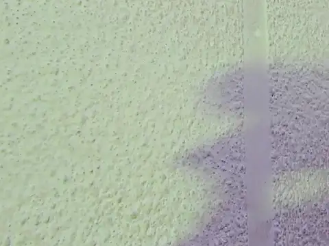 JESSYCORTES 라이브 XXX 채팅