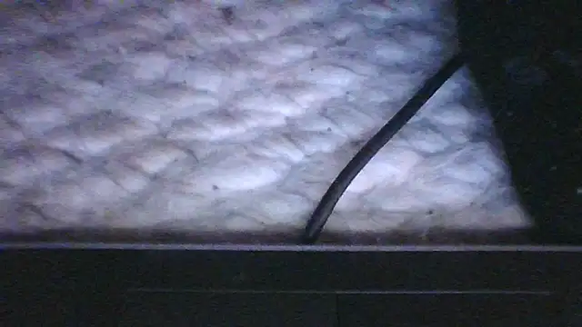 Show webcam de 7plus4u