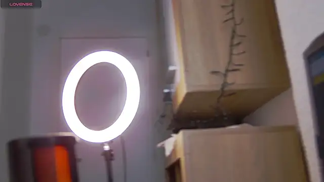 Arilas_n Webbikameraesitys