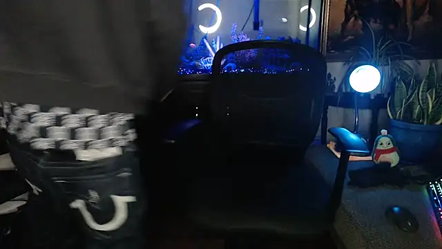 EspanolVato webkamerás műsora