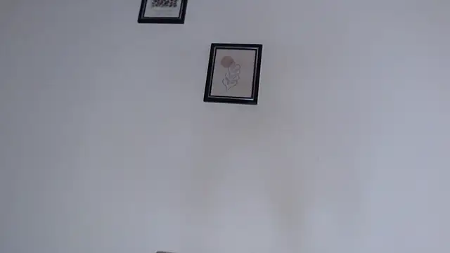 cirosky_elchicopollan Webbikameraesitys