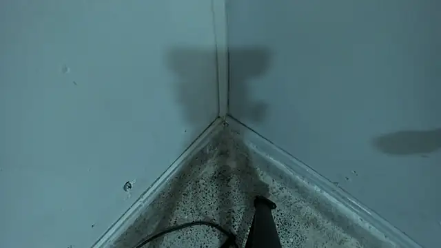 โชว์เว็บแคมของ Endrick-23