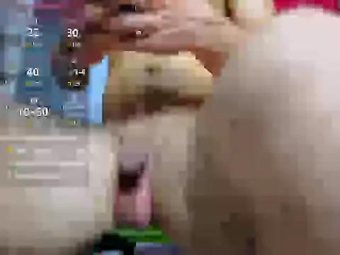 Webkamerová show body_x29