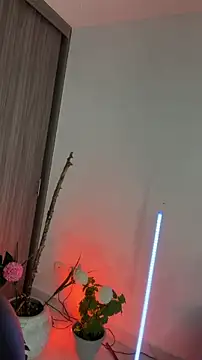 Sembang XXX Secara Langsung LindseyMoss