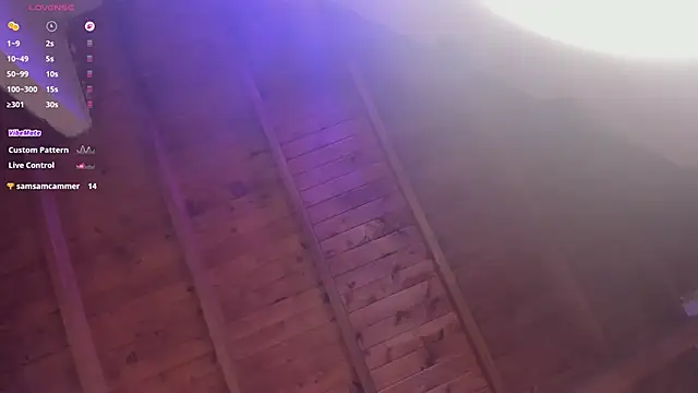 Jess_Collenn Webbikameraesitys