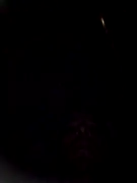 Gracho_25 Pertunjukan Webcam