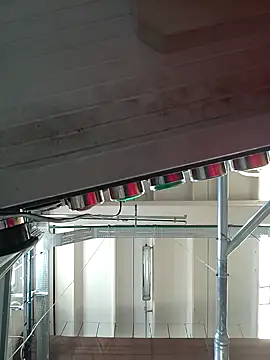 vulpe8400 Pertunjukan Webcam