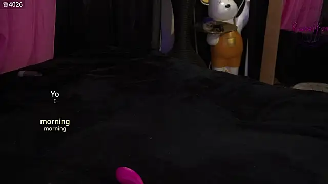 Czat XXX na żywo – Rachellkors