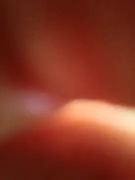 Czat XXX na żywo – aarvicam