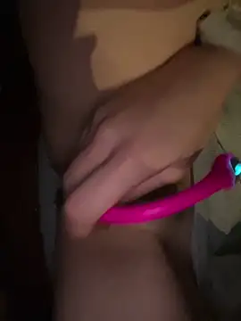 Show webcam de littleqiu