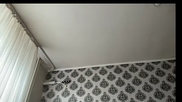 Show modela tomasdickpick na web-kameri